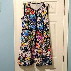 Ladies pullover dress